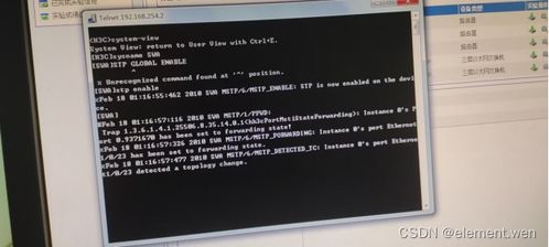計算機網絡實驗四 配置VLAN與生成樹協議