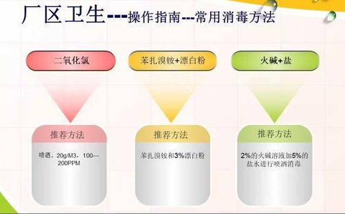張掖市食品生產企業在疫情防控期間的衛生操作要點及品牌管理指南